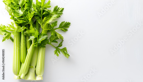 fresh celery isolated on white background.Top view. Flat lay photo