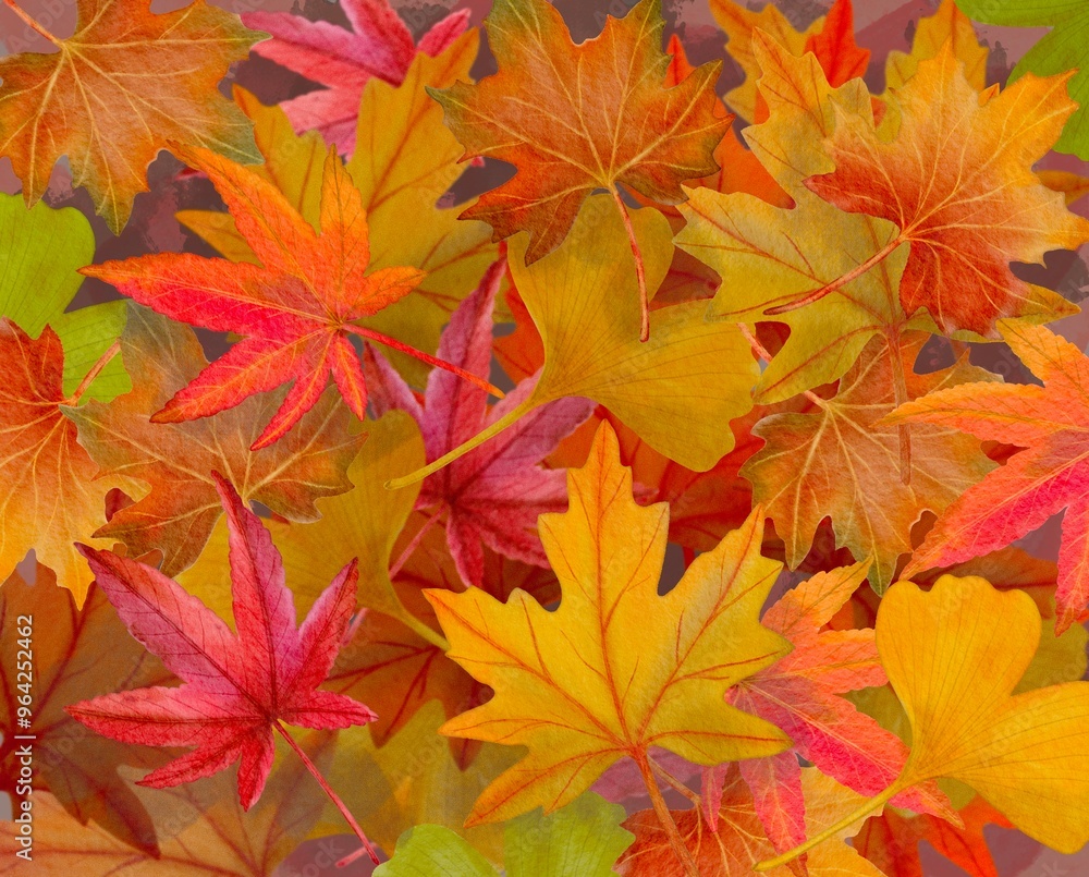 autumn leaves background autumn leaves background