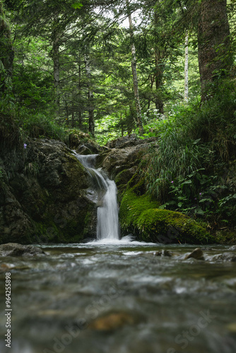 A gentle waterfall flows over moss-covered rocks into a calm stream in the middle of a lush forest. The peaceful atmosphere and surrounding greenery create a serene and refreshing natural escape.
