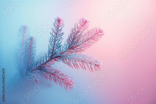 A close-up of a spruce branch against a soft gradient pastel background, creating a serene and dreamy atmosphere.