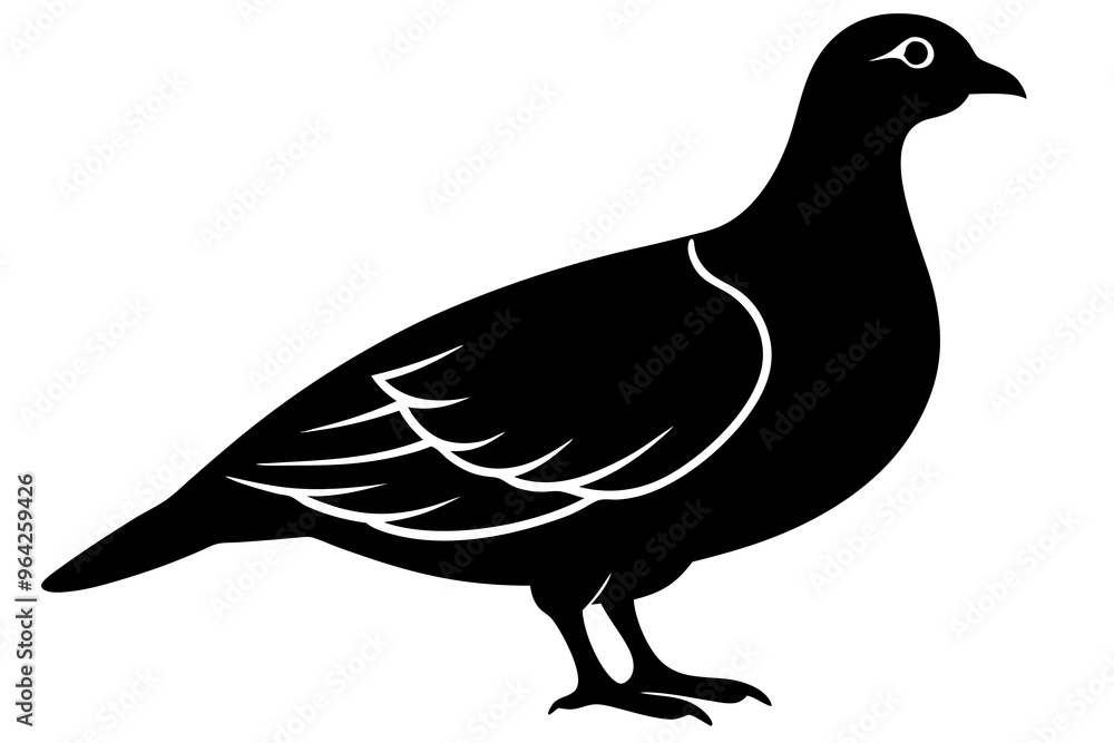 Obraz premium pigeon isolated on white background