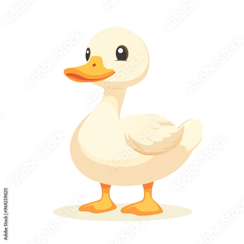 duck isolated on white background