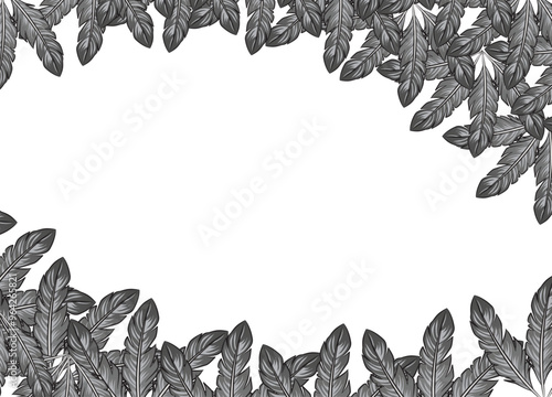 Black and white feather background with copy space