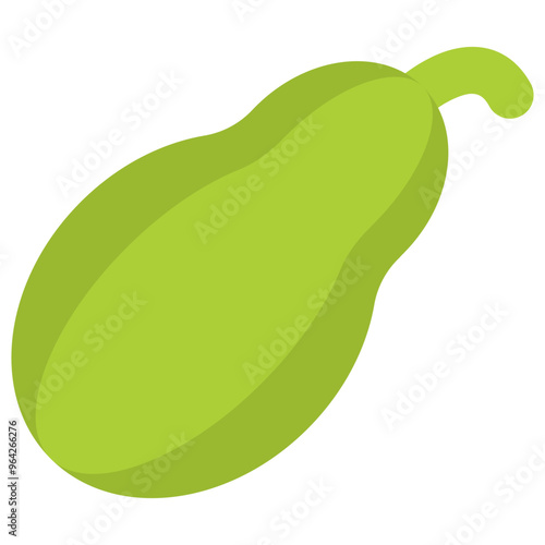 chayote flat icon