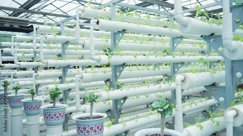 soilless culture with pipe technology in vegetable greenhouse photo