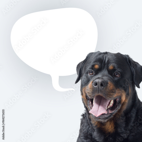 Happy dog talking and empty speech balloon