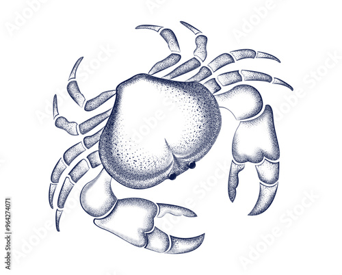 Engraving Crab Sketch. Seafood Vintage Brush retro print, Sea crab Drawing vector sketch, menu,logo sign template, ink pencil style drawing, Engrave Old school. Hand drawn line Healthy food natural