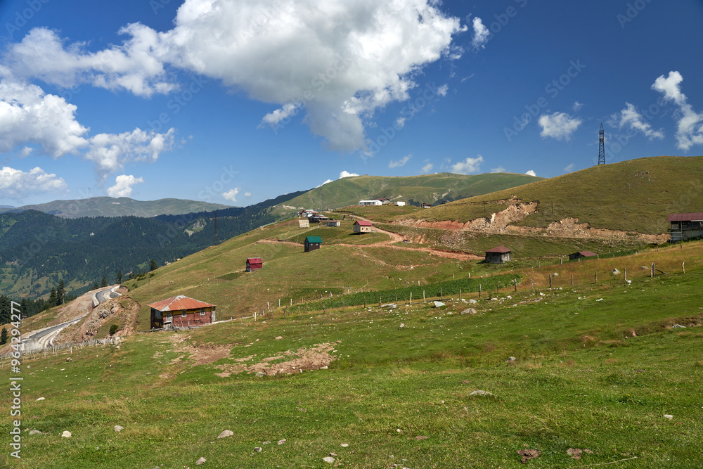 Obraz premium alpine meadow in the mountains