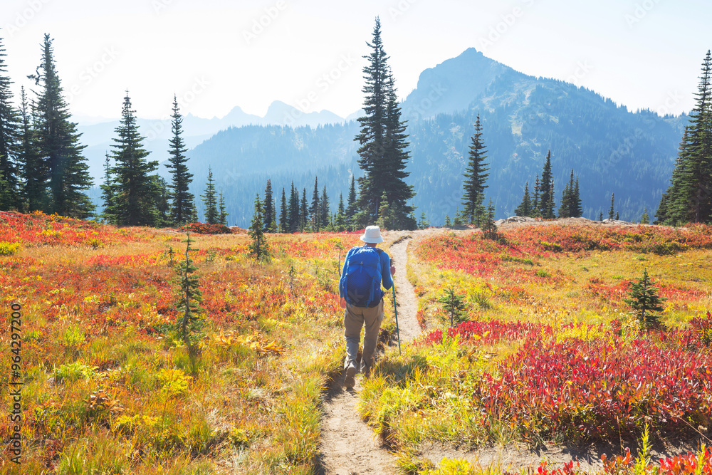 Fototapeta premium Hike in mountains