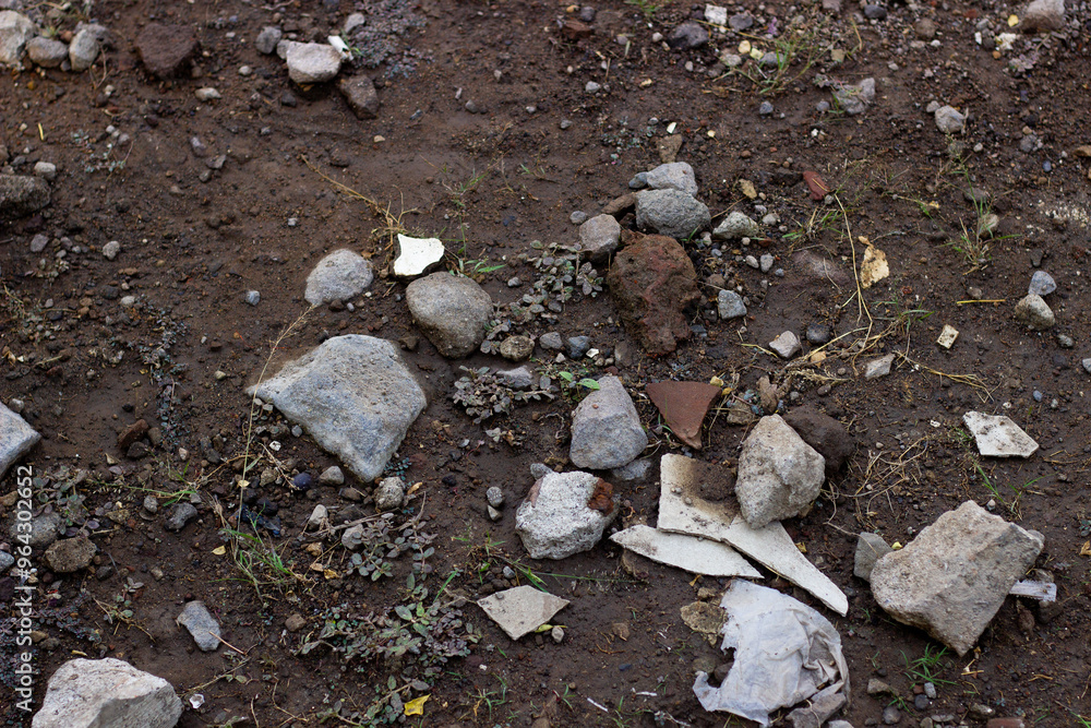 Obraz premium Stones and grass grow in fertile soil