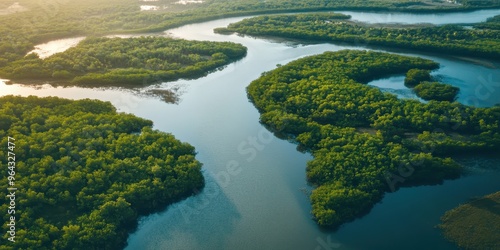 Aerial view of winding river surrounded by lush green trees, capturing the serene beauty of nature and tranquility in the landscape.