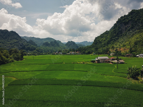 Wide angle aerial shot of traditional vietnamese rural farmhouse with rice field populating the foreground