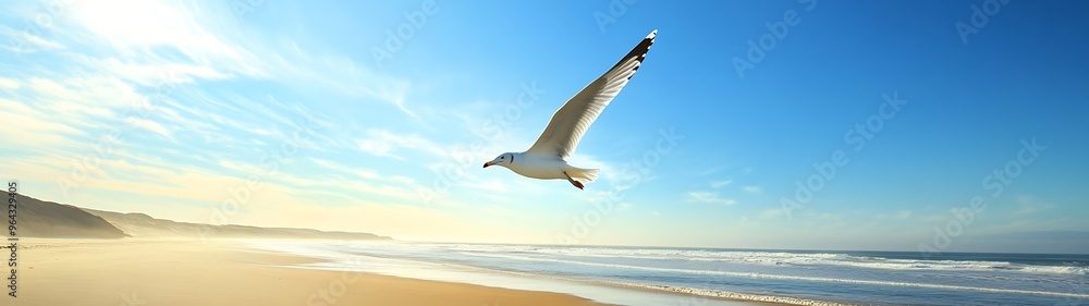 Majestic Seagull Soaring over Wide Beach Panorama with Coastal Views Majestic Seagull Soaring over Wide Beach Panorama with Coastal Views