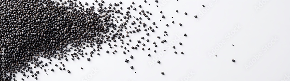 Scattered Poppy Seeds on White Background - 3D Rendering Flat Lay Top View Scattered Poppy Seeds on White Background - 3D Rendering Flat Lay Top View