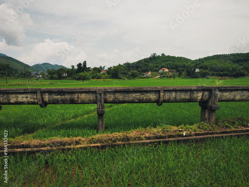 Close up shot of Vietnamese traditional rice field. An aqueduct serving as a water transportation system for irrigation is the subject of the picture