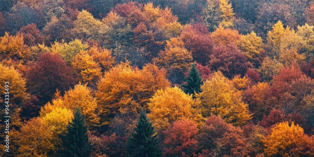 Vibrant autumn foliage showcasing a stunning palette of orange, yellow, and red. Nature's beauty during fall season. Vibrant autumn foliage showcasing a stunning palette of orange, yellow, and red. Nature's beauty during fall season.