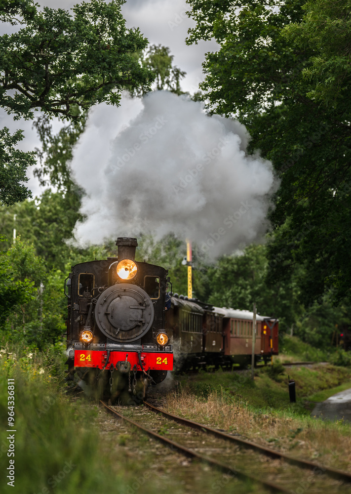 Obraz premium Vintage museum steam train approaching through green forest.