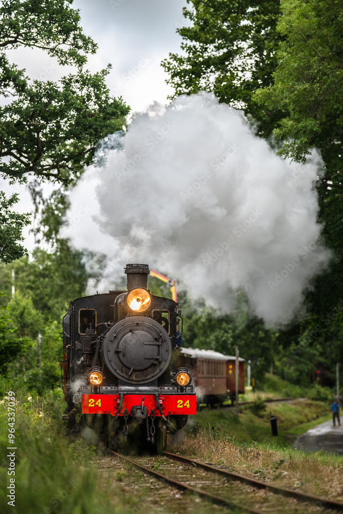 Obraz premium Vintage museum steam train approaching through green forest.