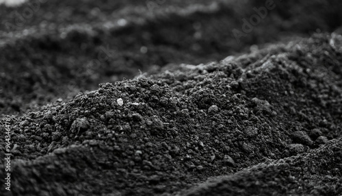 Detailed close-up shot of nutrient-rich black soil. Fine granules, earthy richness