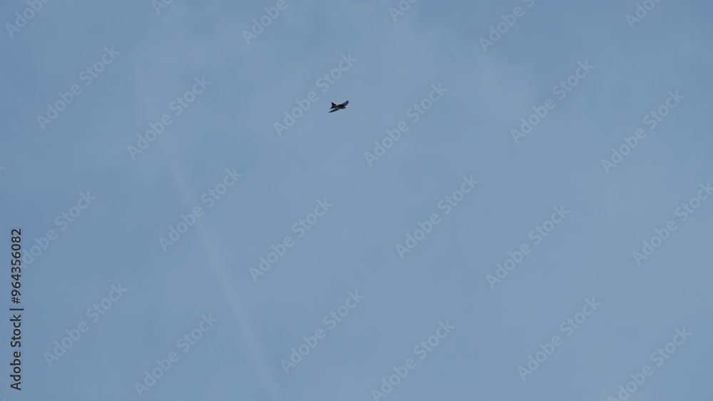 Viele Mehlschwalben fliegen vor Blauen Himmel in Zeitlupe Viele Mehlschwalben fliegen vor Blauen Himmel in Zeitlupe