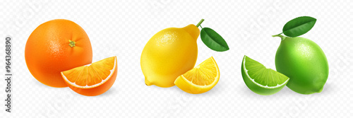 Delicious and Fresh Citrus Fruits Slices of Orange, Lemon, and Lime for Various Uses