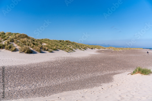 sand dunes and beach in denmark