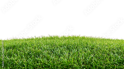 Sport field green grass isolated on white background