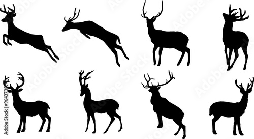 deer silhouette vector collection