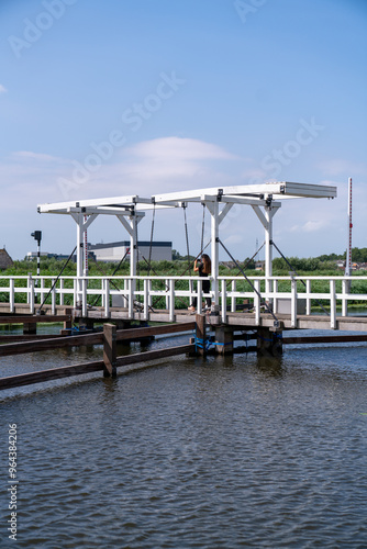 bridge over the river