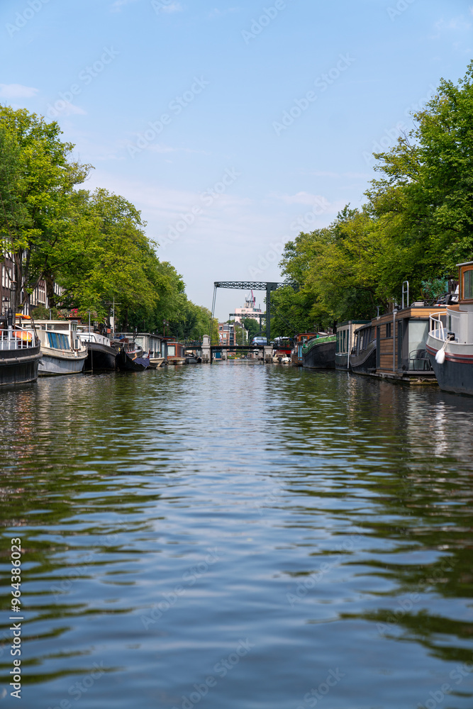 Fototapeta premium bridge over the canals of Amsterdam