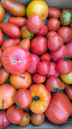 photo of home tomatoes