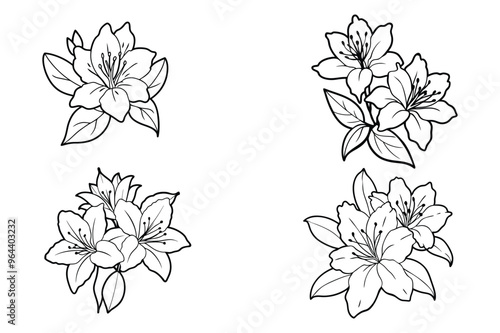 This is azalea flowers vector line art with illustration