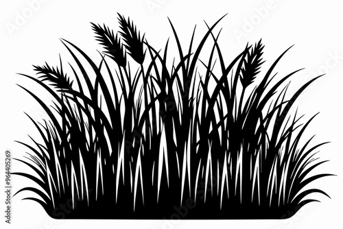 long grass vector silhouette icon,long grass illustration