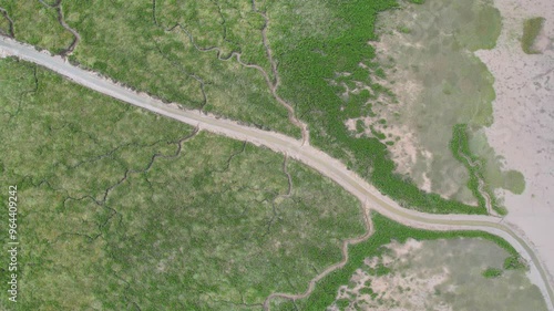 The marshes of Médoc, along the Gironde estuary, create a peaceful landscape where water, reeds, and migratory birds come together, offering a serene and preserved natural setting.
