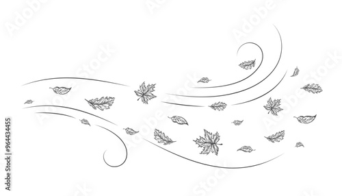 Autumn Leaves Outline Sketch Blown by a Cold Gust of Wind. Hand Drawn Oak and Maple Leaf Carried During Windy Weather. Vector Line Doodle Illustration Isolated