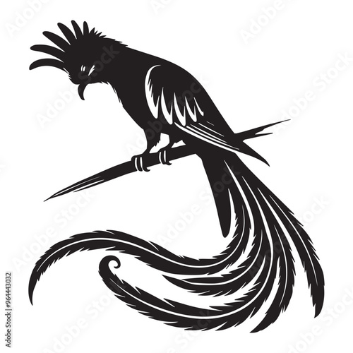 Resplendent quetzal Silhouette -  Resplendent Quetzal head tilted down Vector Illustration in black and white 