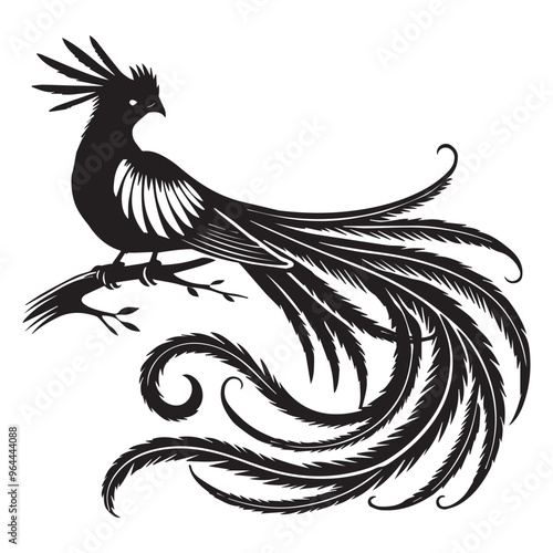 Bird Clipart - Resplendent quetzal Silhouette - Resplendent Quetzal Bird Vector Illustration in black and white 