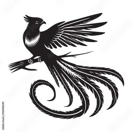 Bird Clipart - Resplendent quetzal Silhouette - Resplendent Quetzal Bird Vector Illustration in black and white 
