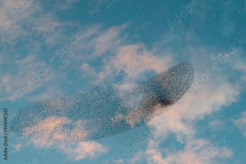 Fotografie miste, scattate in Sardegna.  photo