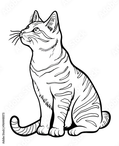 Intricate cat illustration with abstract patterns for adult coloring book