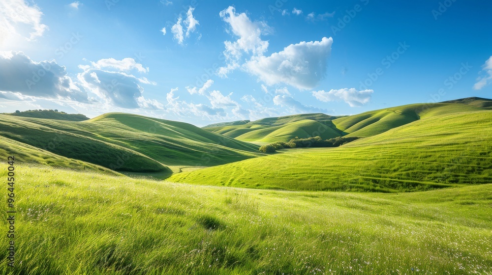 Fototapeta premium Rolling Hills A picturesque landscape of rolling hills with gently undulating terrain and fields of green