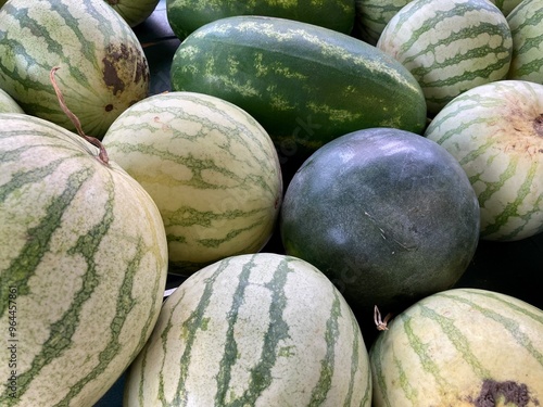 watermelons at the market photo