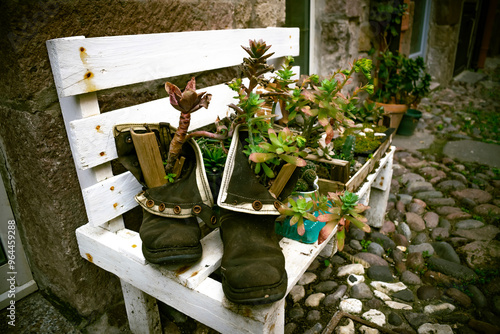 Fotografie miste paesaggistiche e artistiche. 