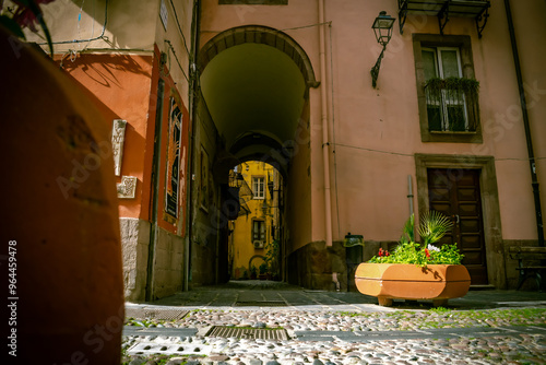 Fotografie miste paesaggistiche e artistiche. 