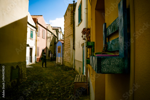 Fotografie miste paesaggistiche e artistiche. 