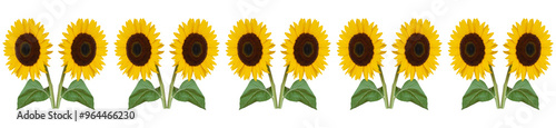 Sunflower with yellow petals and a dark center pattern.