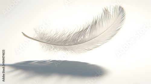 CG Floating Feather: A delicate, CG-rendered feather floating gracefully on a white background, casting a soft shadow. 