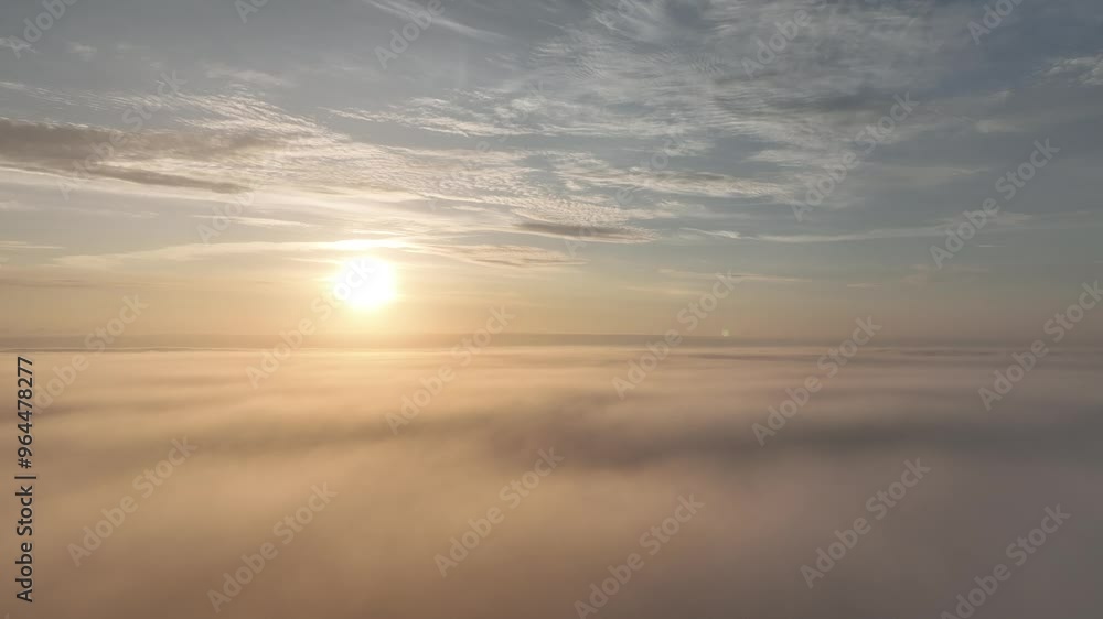 We are in the swamp, flying with a drone, clouds and sun We are in the swamp, flying with a drone, clouds and sun
