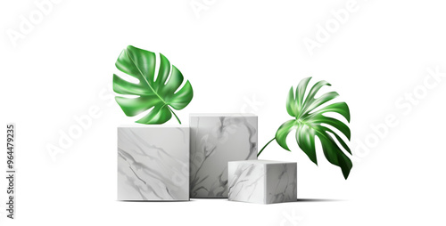 3D vector illustration of marble podiums paired with green monstera leaves, creating a stylish and elegant composition. White marble Square, rectangle podium in white background.