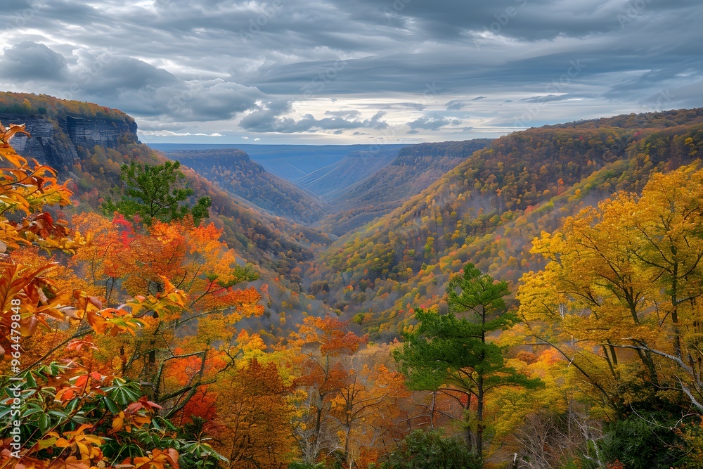 Autumnal Canyon Landscape with Fog and Golden Trees Autumnal Canyon Landscape with Fog and Golden Trees